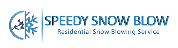 Speedy Snow at Lakeshore Learning